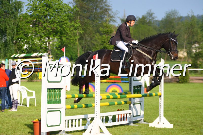 005M3689_Jack Pot_Springpferde A.JPG